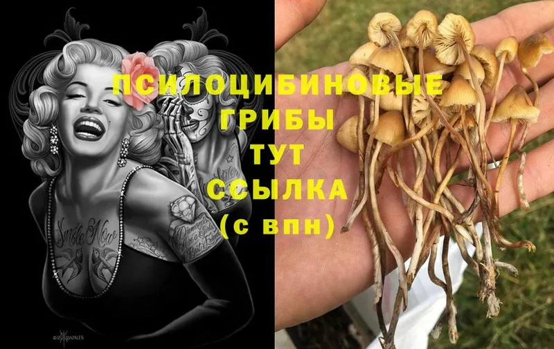 Галлюциногенные грибы мухоморы  omg ССЫЛКА  Калачинск 